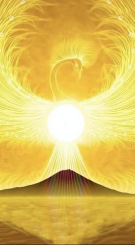 【再受講ライブ配信&アーカイブ動画】3月23日（月）ケタ違い大富豪Ayu先生が教える株式講座　実践編